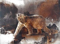 JAMES GRIFFITH - Polar Bear Study #2, painting, tar, figurative, animal, realism, abstract