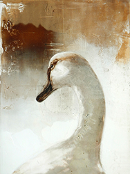 JAMES GRIFFITH - Swan Study, painting, tar, animal, abstract