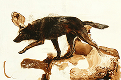JAMES GRIFFITH - Wolf, painting, tar, animal, abstract