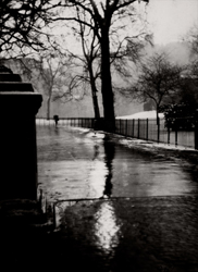 E.O. HOPPE - Winter Rain, Kensington, London, 1925, photography, vintage, England, black and white, trees