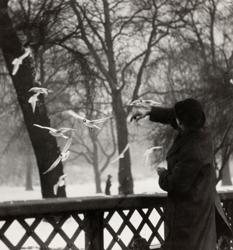 E.O. HOPPE - Feeding the Birds in winter, St. James' Park, London, 1929, photograph, vintage, England, black and white, figurative