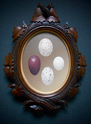 BRUCE RICHARDS - Exquisite Corpse, eggs, curio cabinet, leaves, frame, painting