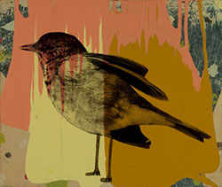 HOLLY ROBERTS - Bird with Shoes, collage, photography, painting