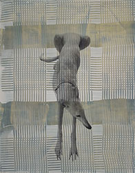 HOLLY ROBERTS - Greyhound Resting, collage, photography, painting