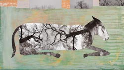 HOLLY ROBERTS - Horse Resting, collage, photography, painting