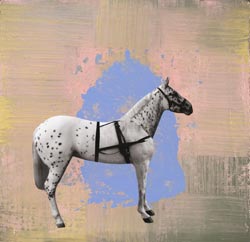 HOLLY ROBERTS - Horse Standing with Pink and Blue, collage, photography, painting