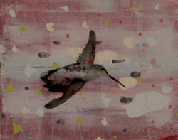 HOLLY ROBERTS - Hummingbird with Red, collage, photography, painting