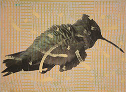 HOLLY ROBERTS - Small Hummingbird with Yellow, collage, photography, painting