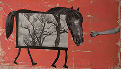 HOLLY ROBERTS - Wild Pony, collage, photography, painting