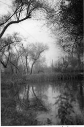 JULIUS SHULMAN - Lagoon, c.1930