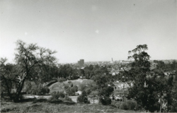 JULIUS SHULMAN - Looking Toward Downtown Los Angeles, 1933