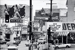 JULIAN WASSER - Tower Records, Sunset Strip, Los Angeles, 1973