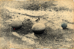 YAMAMOTO MASAO - #1054, photograph, bird and rocks