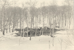 YAMAMOTO MASAO - #1500, photograph, trees and lake