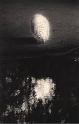 YAMAMOTO MASAO - #1579, photograph, lamb and lake