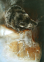 JAMES GRIFFITH - Mouse, painting, tar, animal, abstract