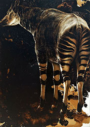 JAMES GRIFFITH - Okapi, painting, tar, figurtive, animal, realism, abstract