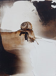 JAMES GRIFFITH - Snail, painting, tar, animals, figurative, realism, abstract