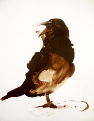 JAMES GRIFFITH - Natural Selection - Talking Crow, painting, tar, abstract, figurative, animals