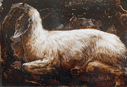 JAMES GRIFFITH - Young Goat in Starlight, painting, tar, figurative, animal, abstract, realism