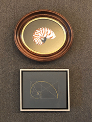 BRUCE RICHARDS -Enlightenment (Math/Science), shells, golden ratio, painting