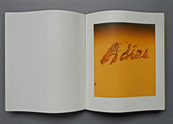 BRUCE RICHARDS - Leave Any Informatoin at the Signal, Adios, Ex Libris, painted book, wood, Ed Ruscha