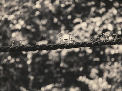 YAMAMOTO MASAO - #1581, photograph, rope