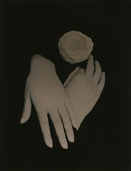 YAMAMOTO MASAO - 1639, hands, flower, photograph, black and white